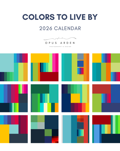 Colors to Live By Geometric Modern 2026 Wall Calendar (US & CA)